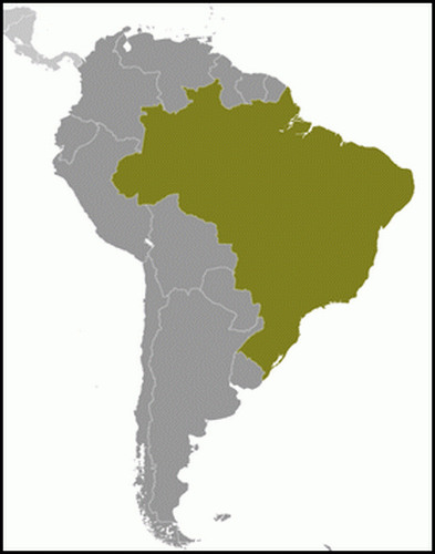 carte gographique Brsil