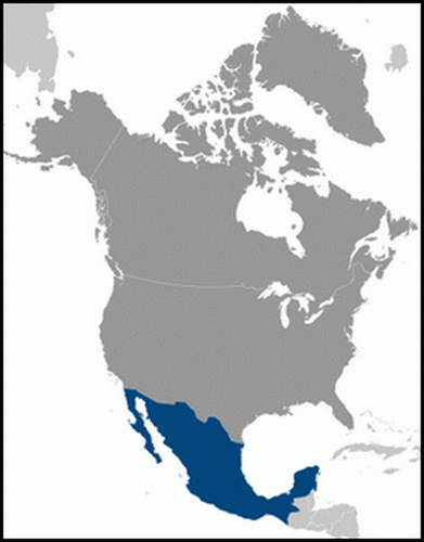 carte gographique Mexique