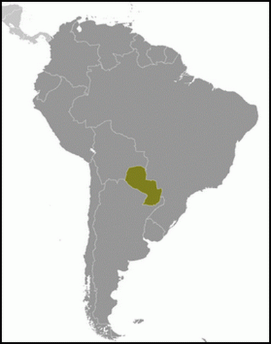 carte géographique Paraguay