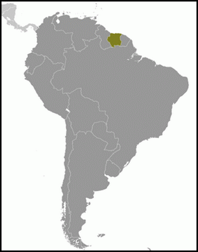 carte gographique Suriname